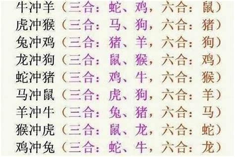 生肖6合|十二生肖的“六合”“三合”是什么意思 看完你就懂了